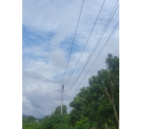 Thay FCO phân đoạn 477.1.XNK Vĩnh Tiến và đóng điện trạm biến áp Vĩnh Tiến