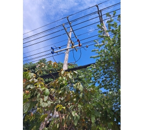 Bảo trì, thí nghiệm trạm biến áp Công ty Bảo Việt Nam Bình Dương